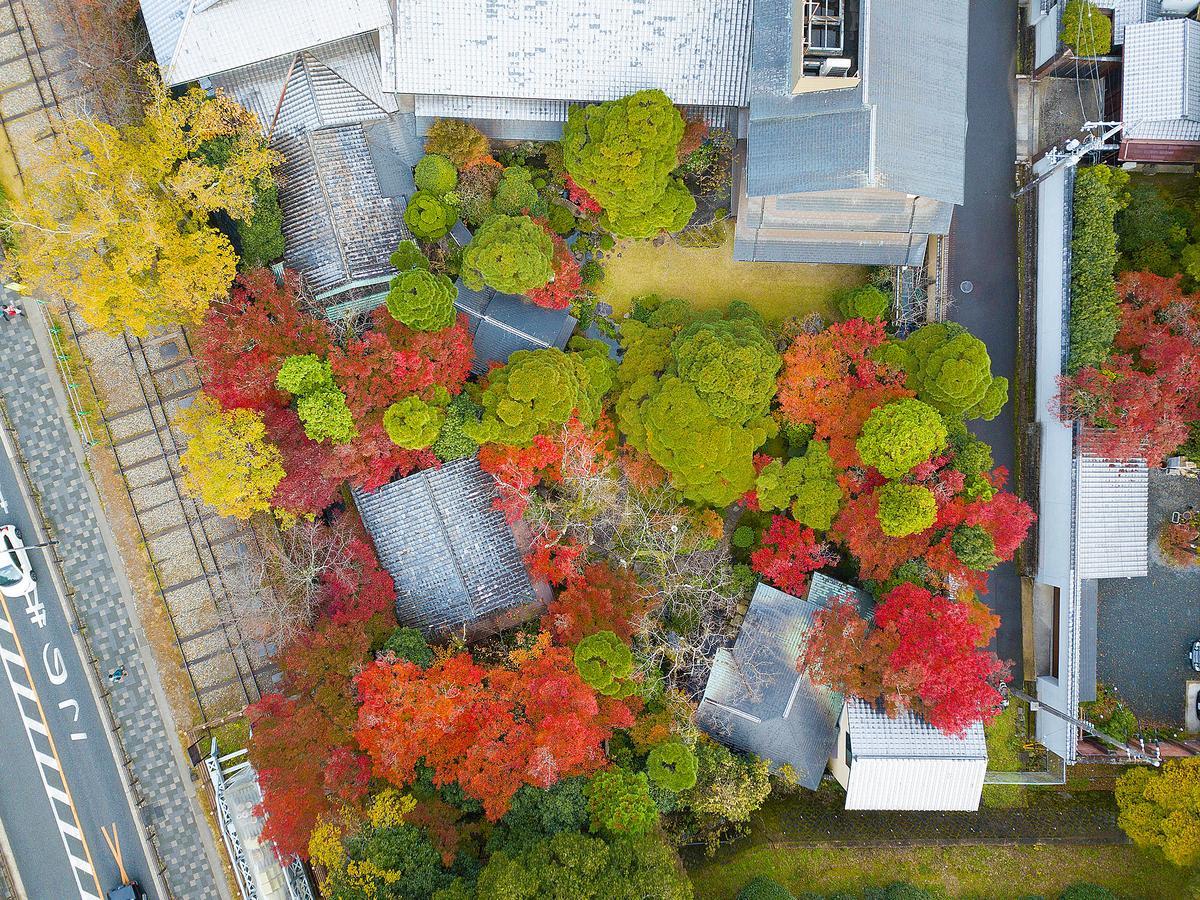 Nanzenji Sando Kikusui Kyoto Exteriör bild