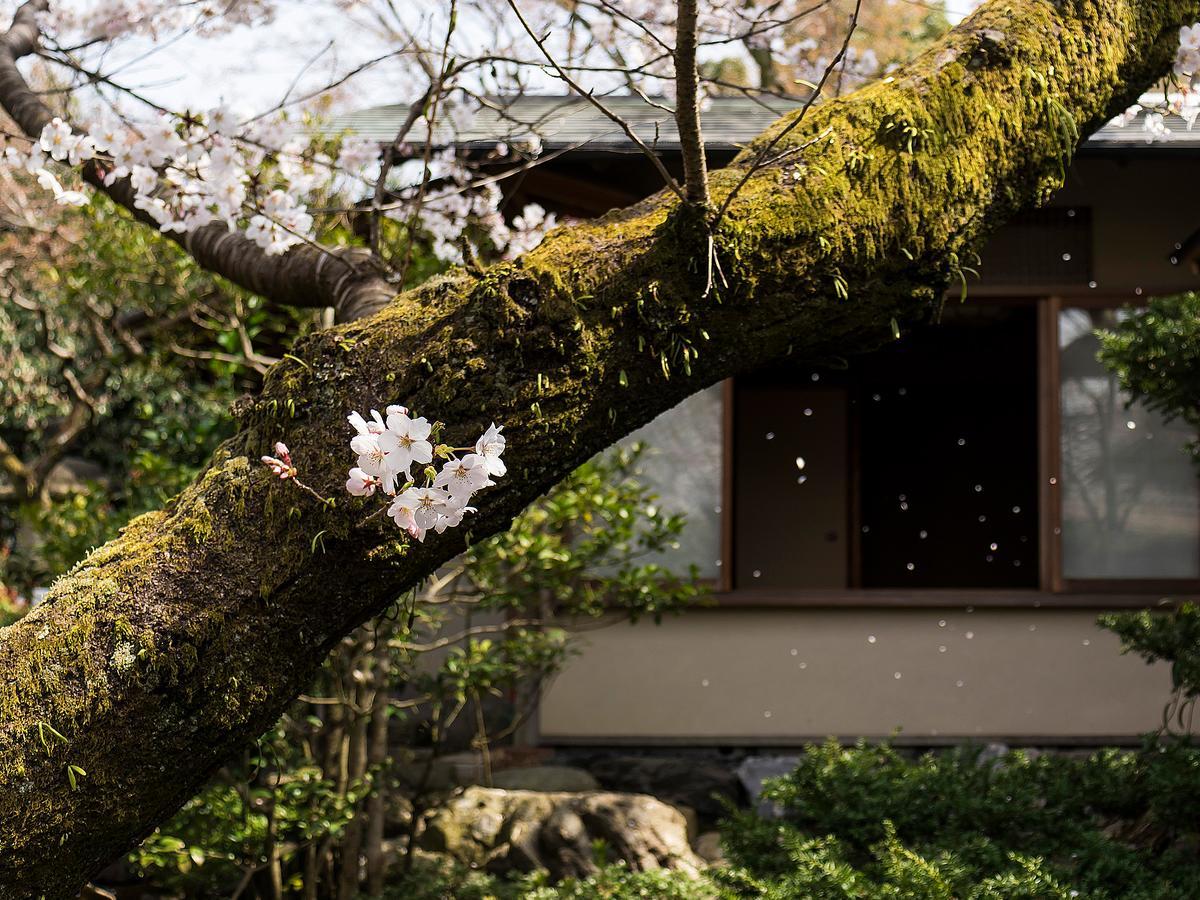 Nanzenji Sando Kikusui Kyoto Exteriör bild